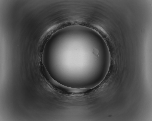 X0000086921112200704161357