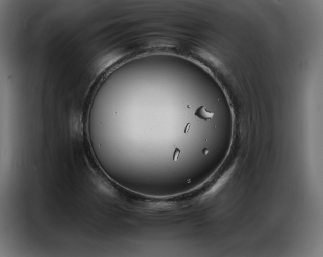 X0000086921113200704161357