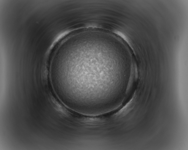 X0000086921115200704161357