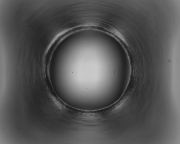 X0000086921116200704161357