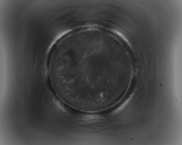 X0000086921117200704161357