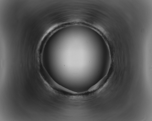 X0000086921118200704161357