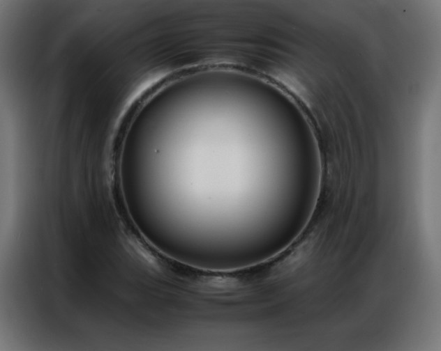 X0000086921119200704161357