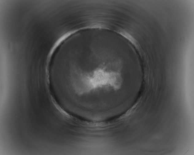 X0000086921120200704161357