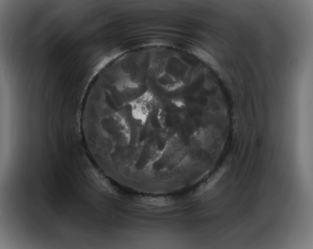 X0000086921121200704161357