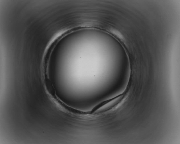 X0000086921122200704161357
