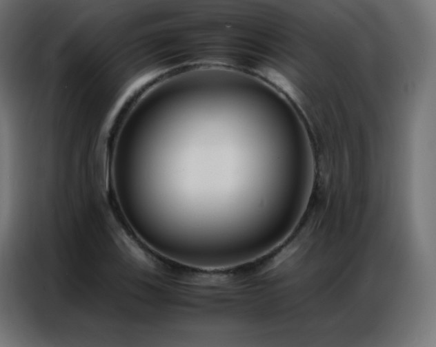X0000086921123200704161357