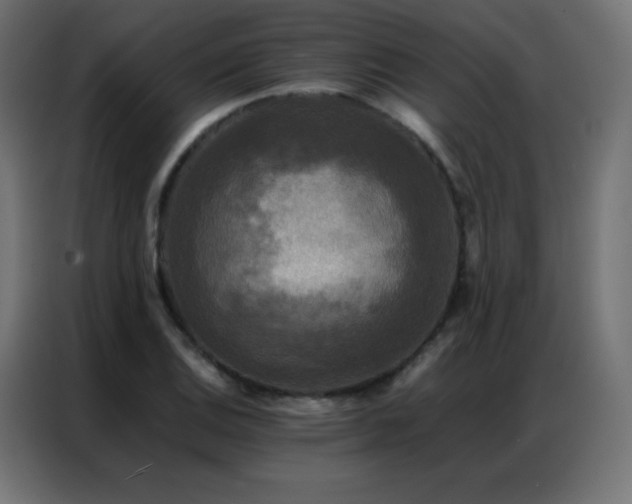 X0000086921124200704161357