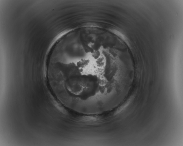 X0000086921125200704161357