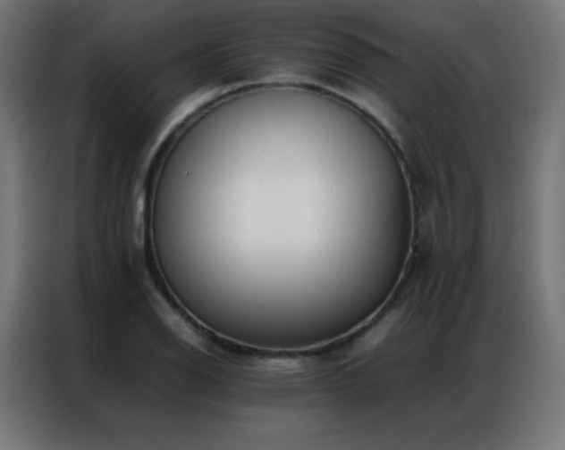 X0000086921126200704161357