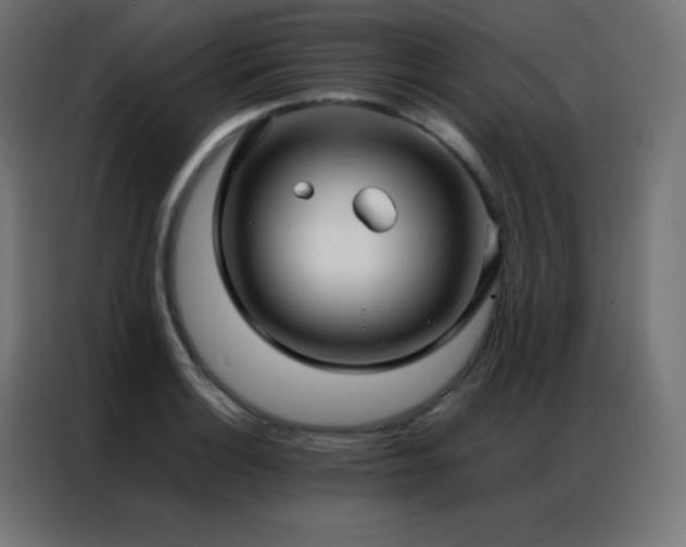 X0000086921132200704161357