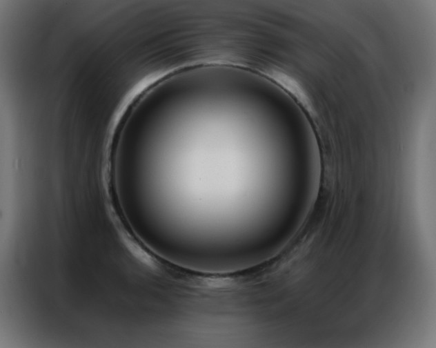 X0000086921136200704161357