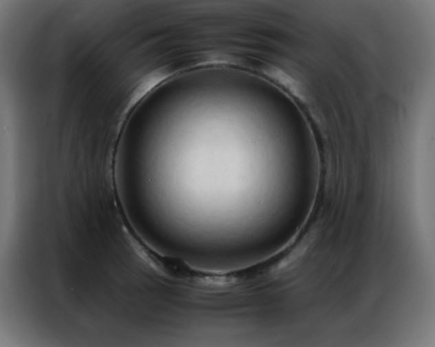 X0000086921137200704161357