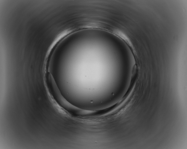 X0000086921138200704161357