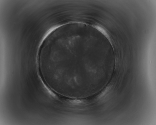 X0000086921141200704161357