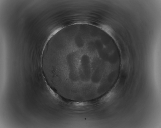 X0000086921145200704161357
