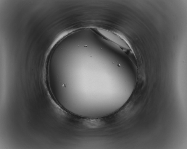 X0000086921147200704161357