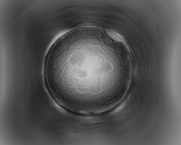 X0000086921149200704161357