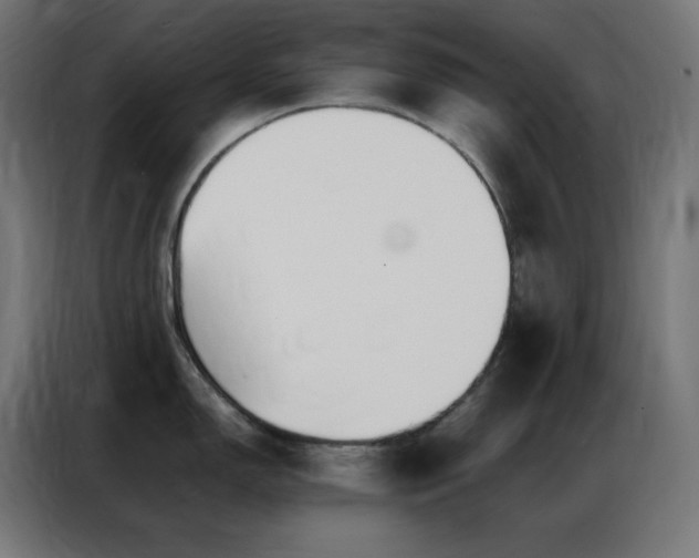 X0000086921150200704161357