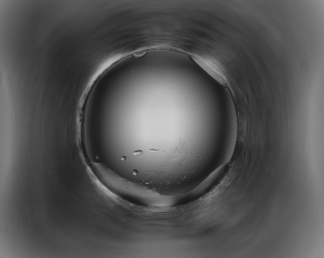 X0000086921151200704161357