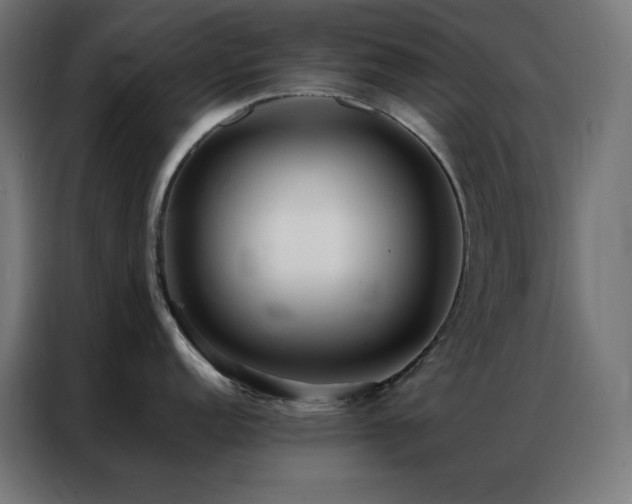X0000086921152200704161357