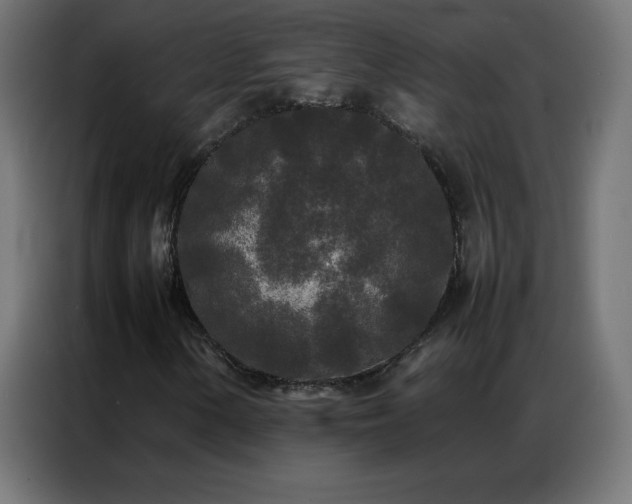 X0000086921154200704161356