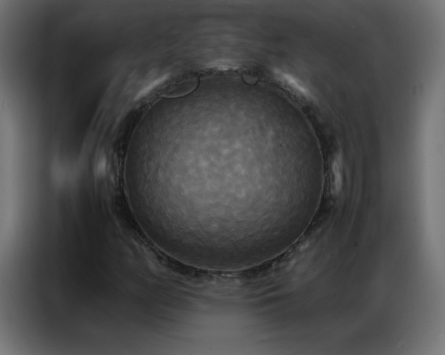 X0000086921158200704161356