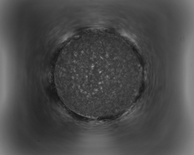 X0000086921159200704161356