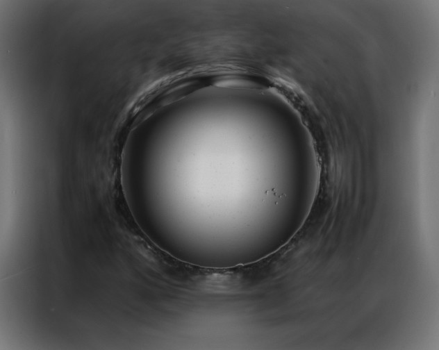 X0000086921160200704161356
