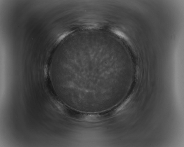 X0000086921161200704161356