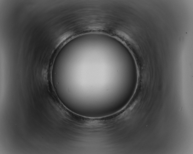 X0000086921162200704161356