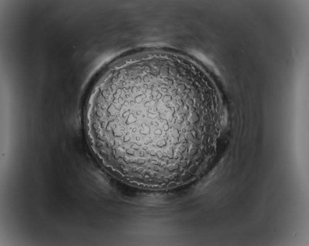 X0000086921167200704161356