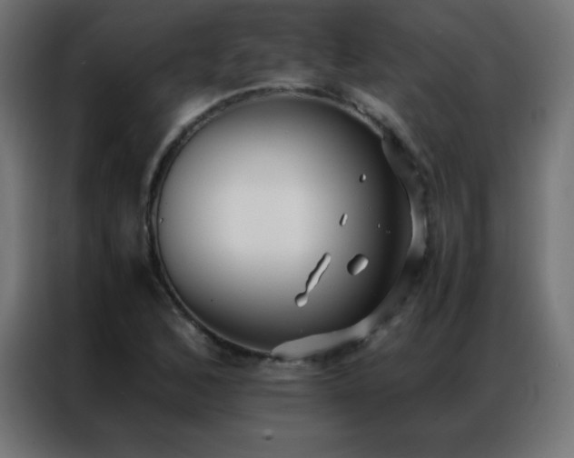 X0000086921168200704161356