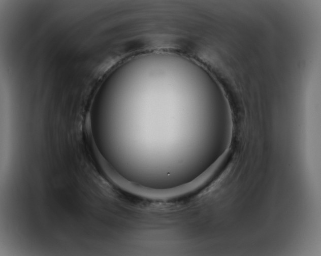 X0000086921169200704161356