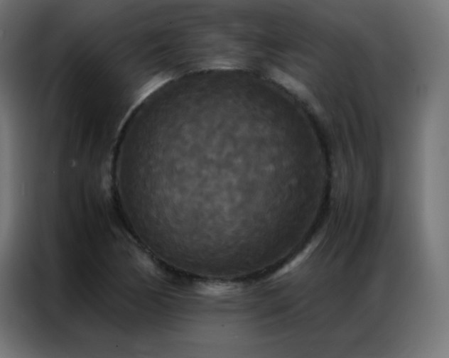 X0000086921170200704161356
