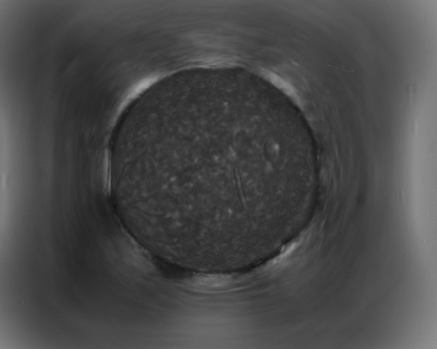 X0000086921171200704161356