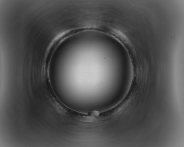 X0000086921172200704161356
