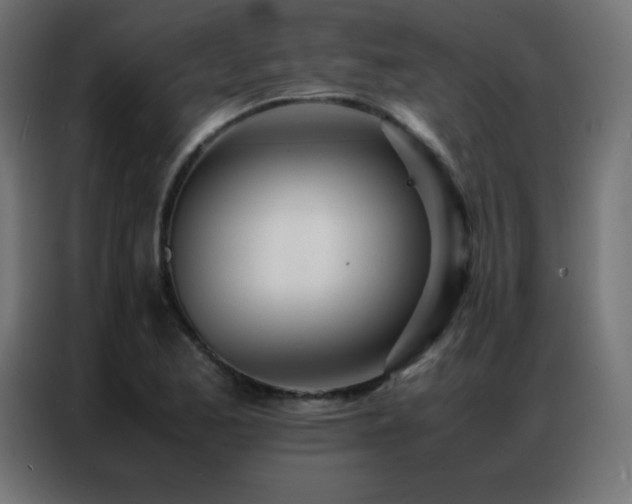 X0000086921173200704161356