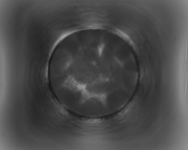X0000086921174200704161356