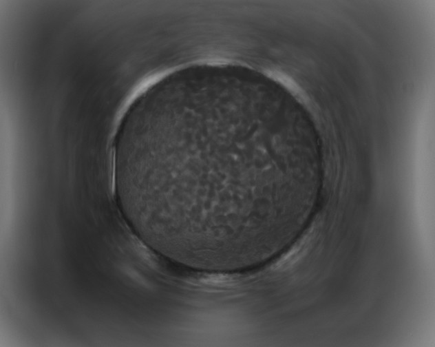 X0000086921175200704161356