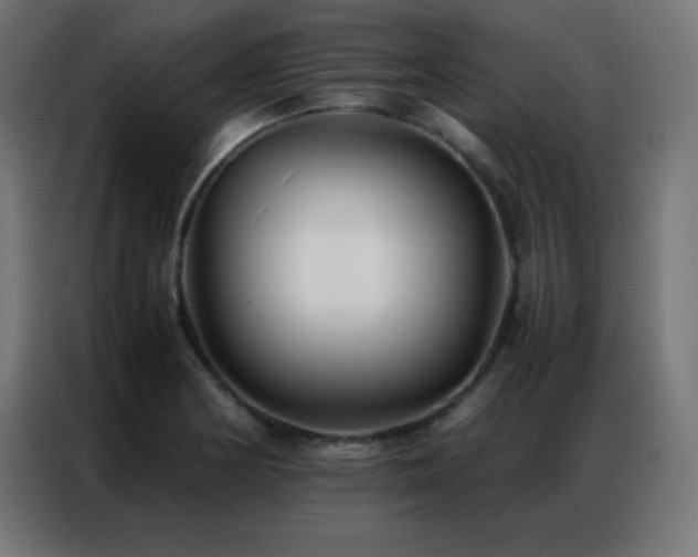 X0000086921178200704161356