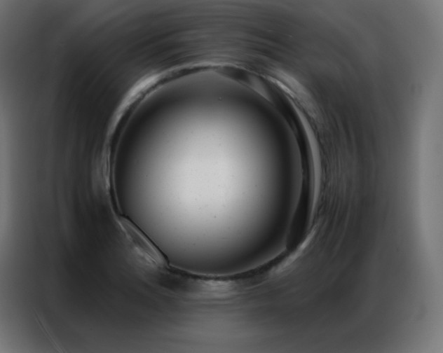 X0000086921180200704161356