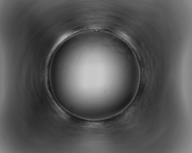 X0000086921187200704161356