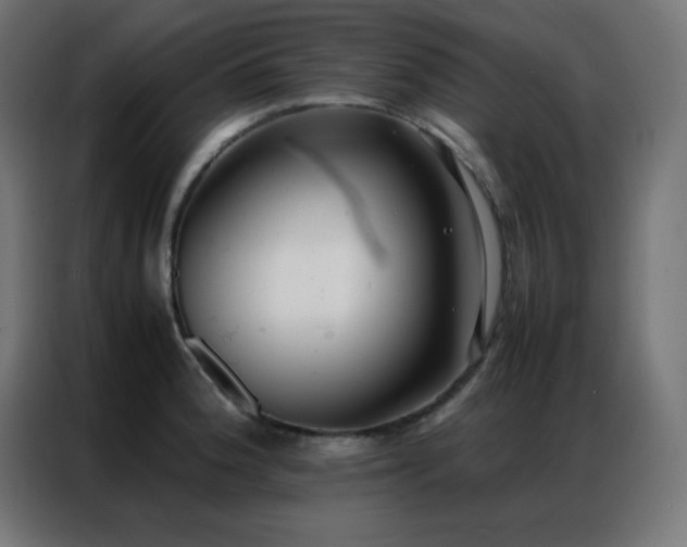 X0000086921188200704161356