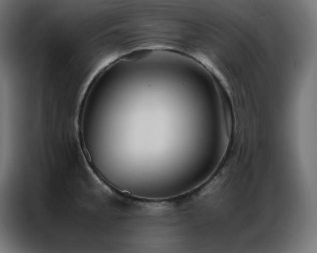 X0000086921189200704161356