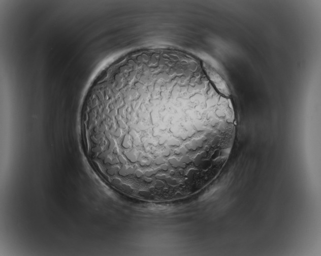 X0000086921191200704161356