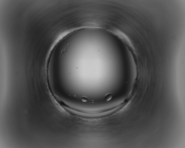 X0000086921192200704161356