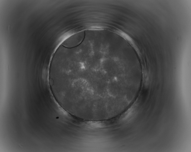 X0000086921194200704161356