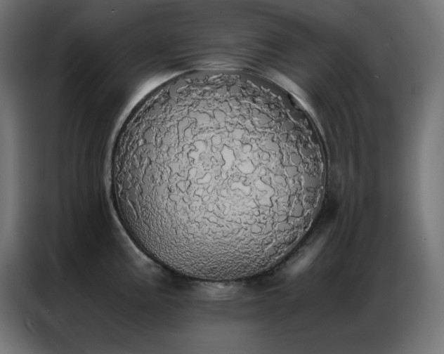 X0000086921195200704161356