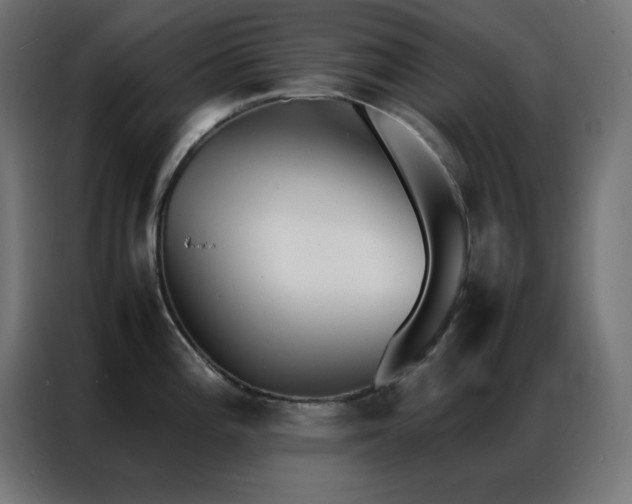 X0000086921196200704161356